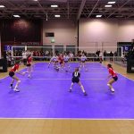 Volleyball Court LED Light